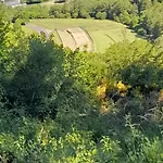 Zum Goldenen Tal Lejlighed *