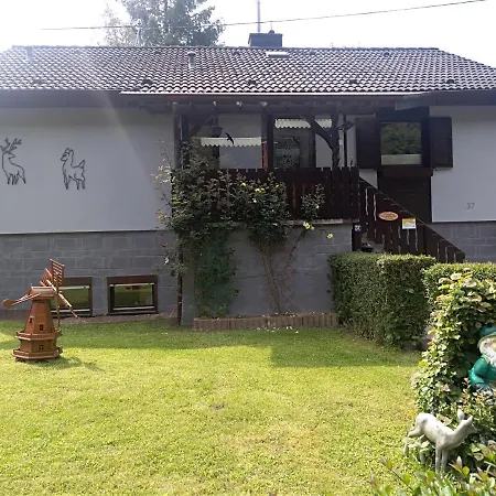 Zum Goldenen Tal Apartment Grafendhron