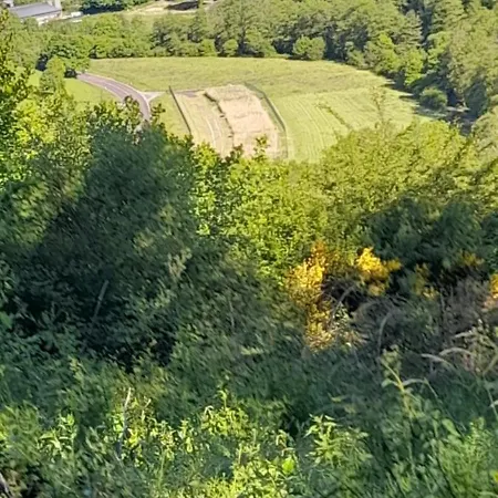 Zum Goldenen Tal Apartment *