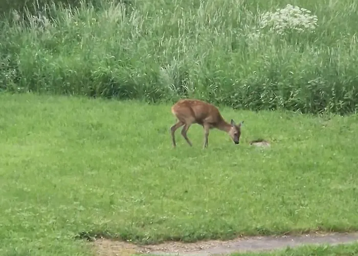 Zum Goldenen Tal * Grafendhron